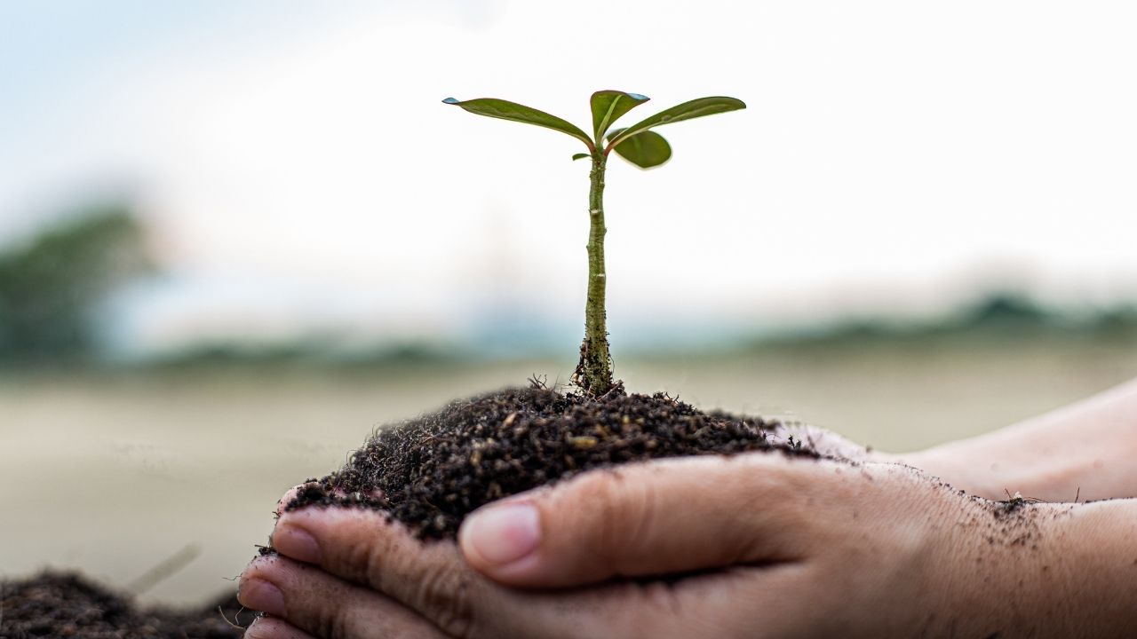 november energetische sanierung
